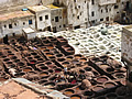 Fez
