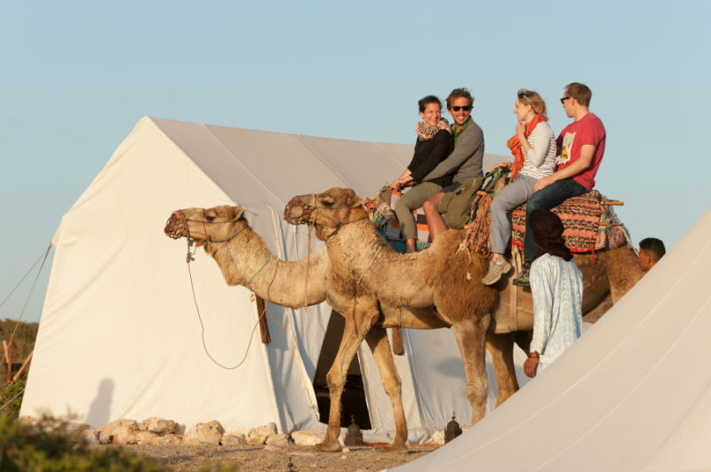 Camel rides