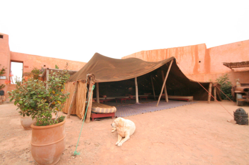 Berber Tent